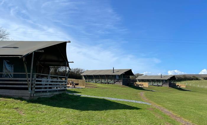 Glamping Field